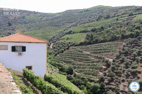 Villa Quinta Do Monte Bravo - Douro - Quarto Duplo Ervedosa do Douro Exterior foto