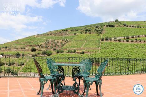 Villa Quinta Do Monte Bravo - Douro - Quarto Duplo Ervedosa do Douro Exterior foto