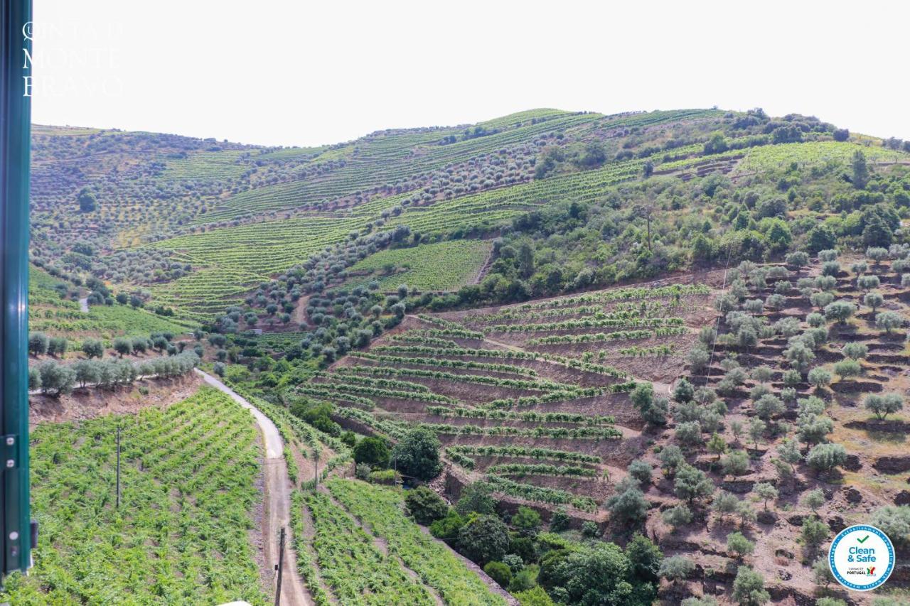 Villa Quinta Do Monte Bravo - Douro - Quarto Duplo Ervedosa do Douro Exterior foto